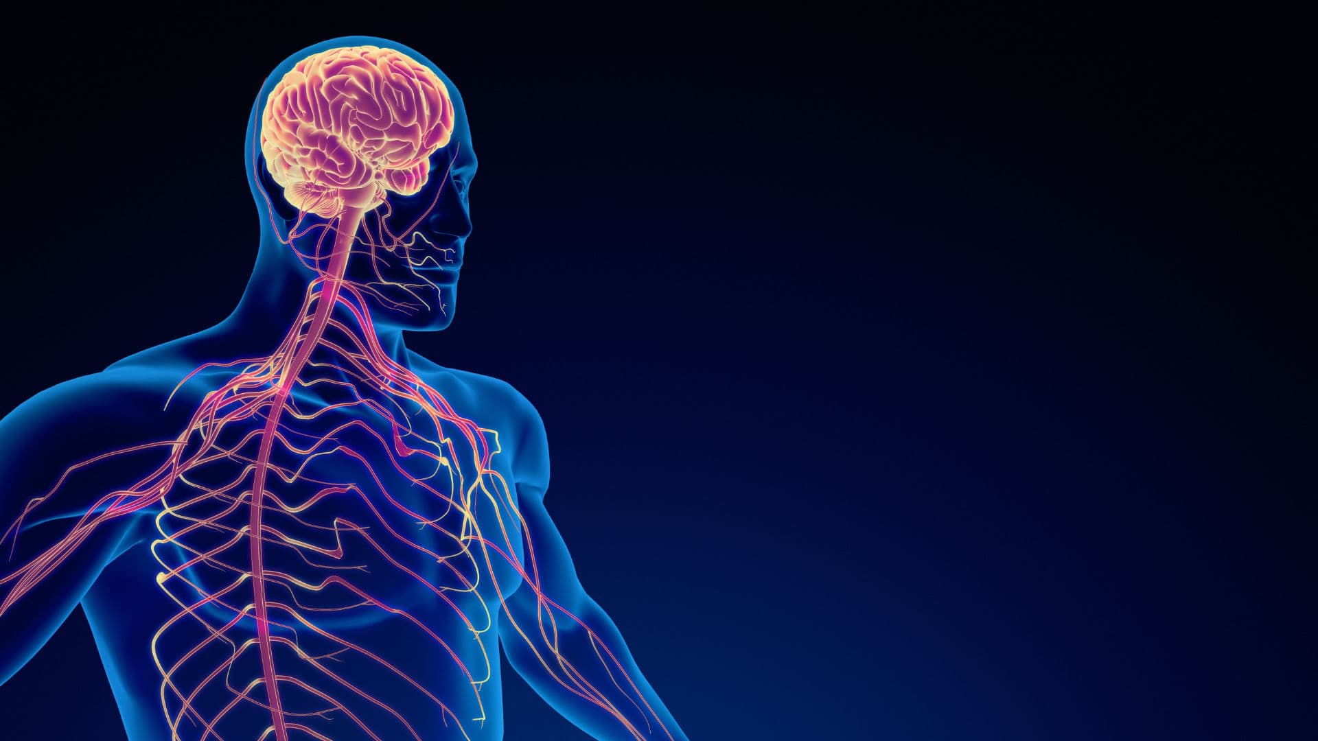 Nervous System Regulation Exercises That Actually Work With Trauma